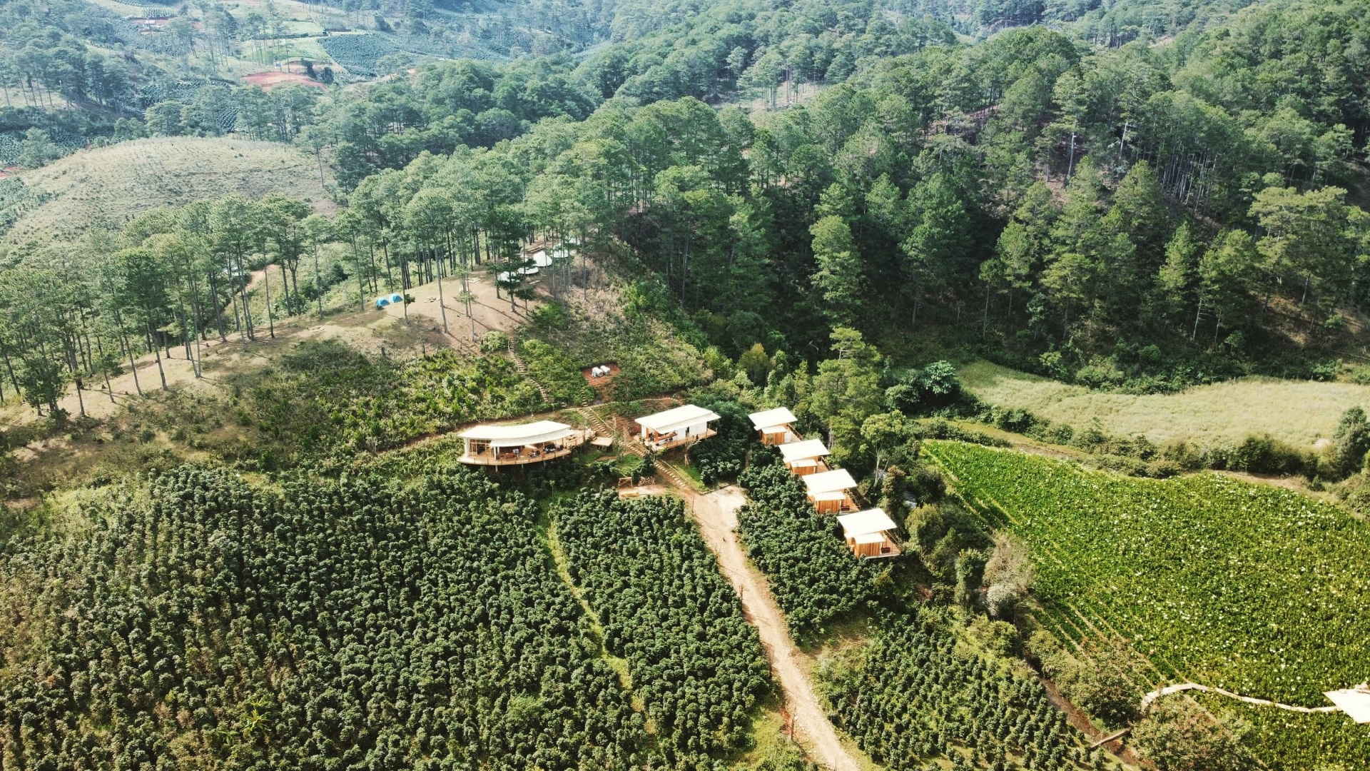Cảnh quan Twin Beans Farm dưới chân dãy Langbiang